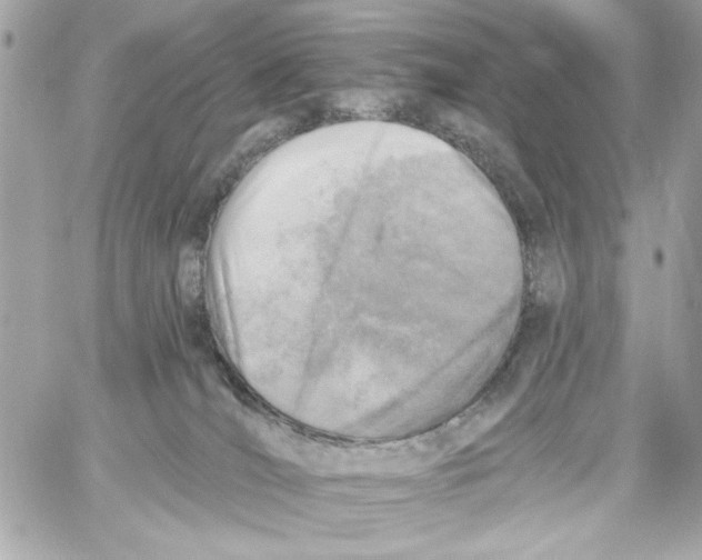 X0000059060036200511041740