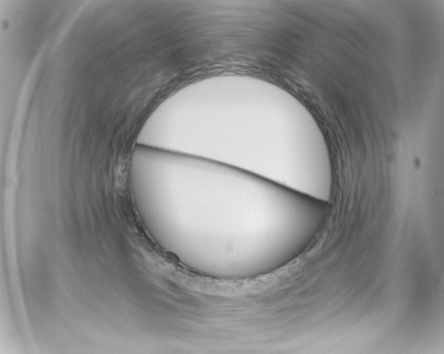 X0000059060037200511041740