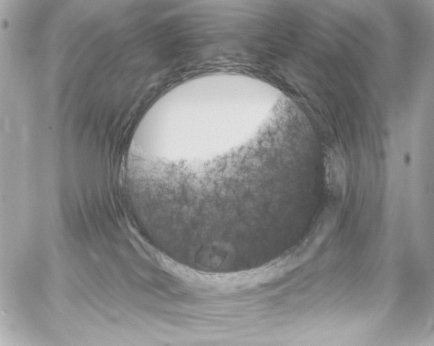 X0000059060038200511041740