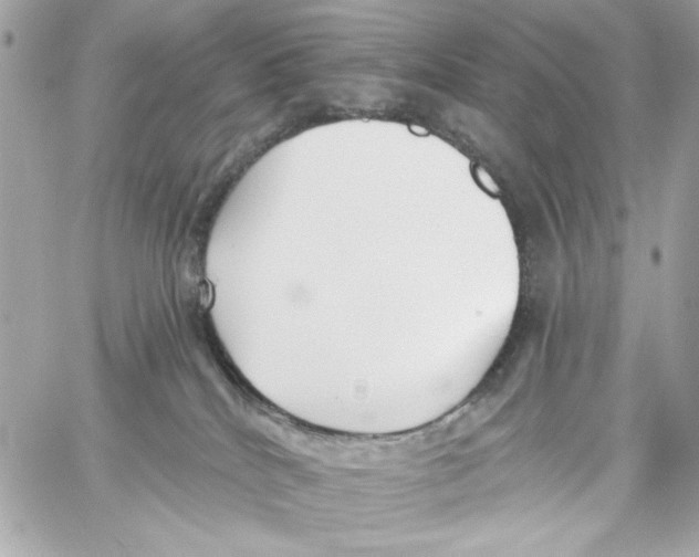 X0000059060040200511041740