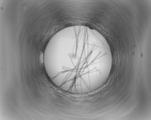 X0000059060041200511041740