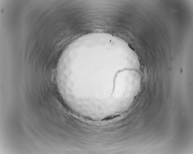 X0000059060043200511041740