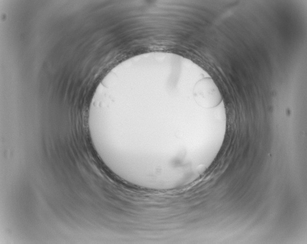 X0000059060044200511041740