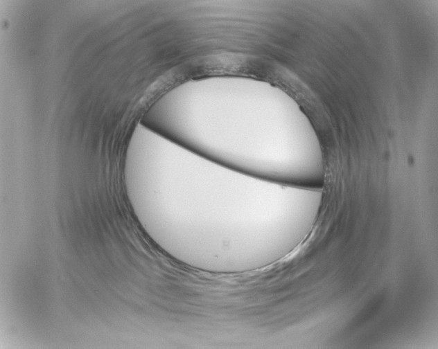 X0000059060045200511041740