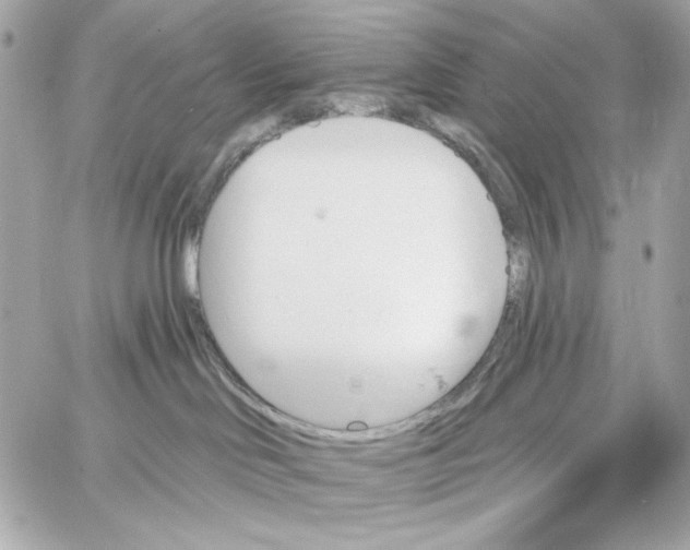 X0000059060046200511041740