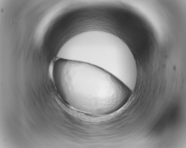 X0000059060047200511041740