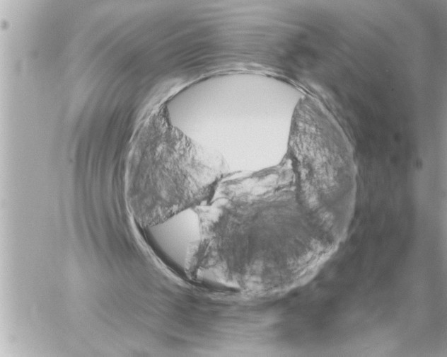 X0000059060049200511041739