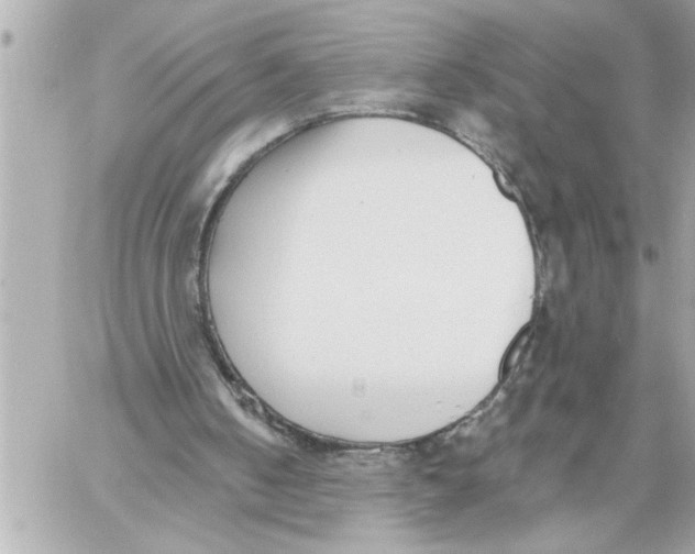 X0000059060050200511041739