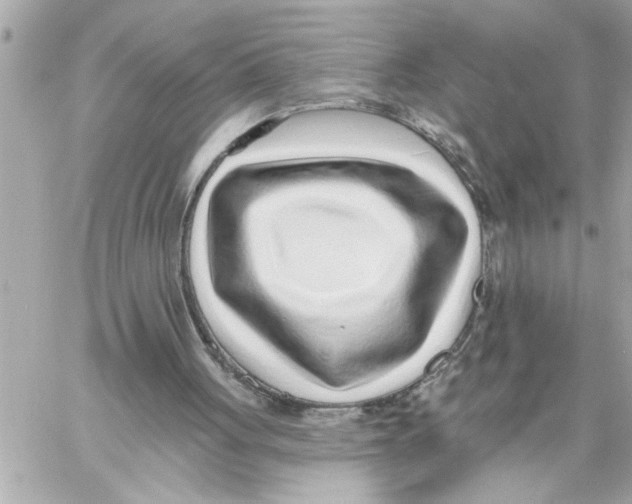 X0000059060051200511041739