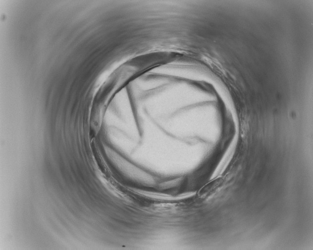 X0000059060052200511041739