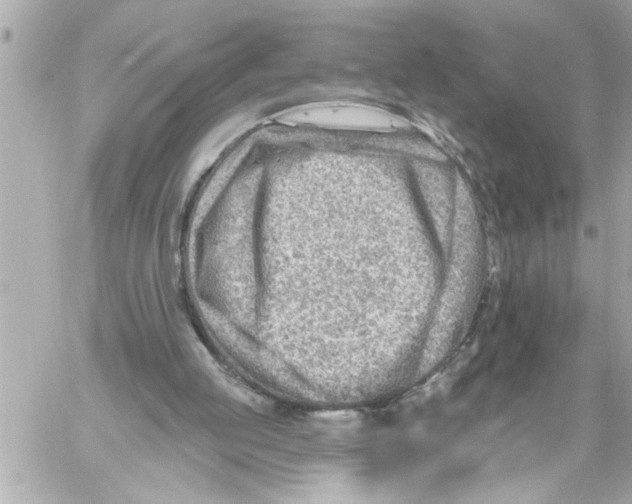 X0000059060053200511041739