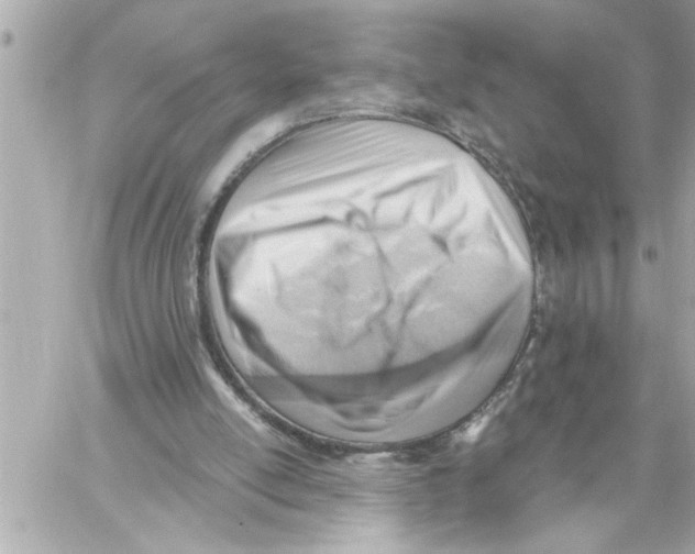 X0000059060054200511041739