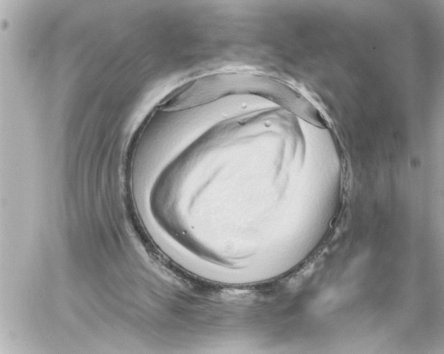 X0000059060055200511041739