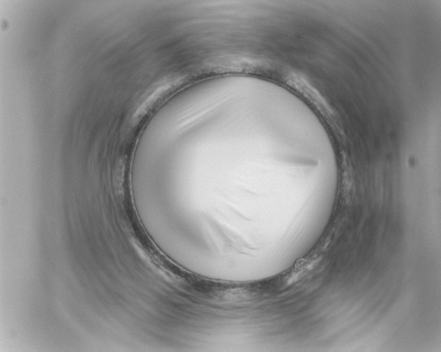 X0000059060058200511041739