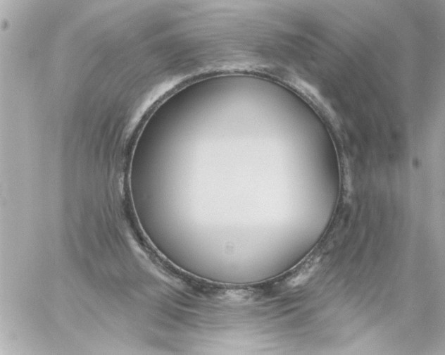 X0000059060060200511041739