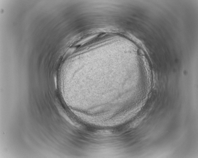 X0000059060061200511041739