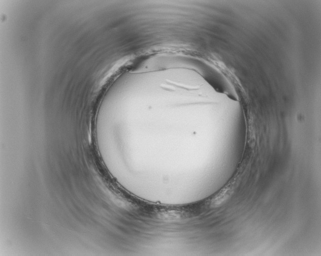 X0000059060062200511041739