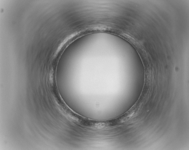 X0000059060064200511041739