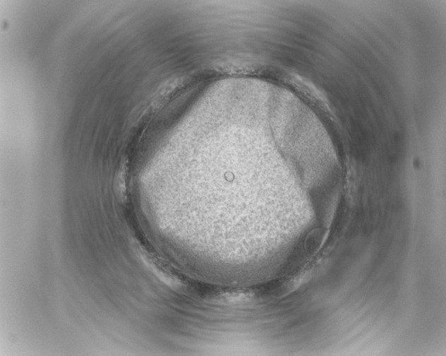 X0000059060065200511041739