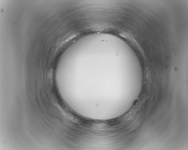 X0000059060066200511041739