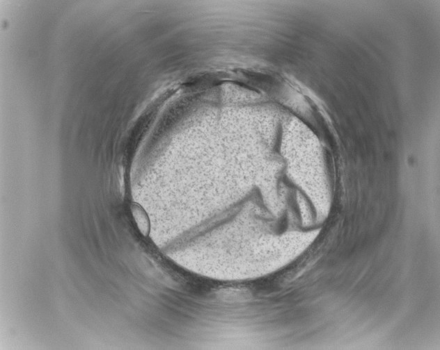 X0000059060067200511041739