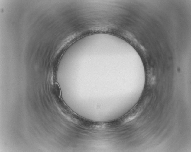 X0000059060068200511041739