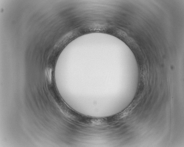 X0000059060070200511041739