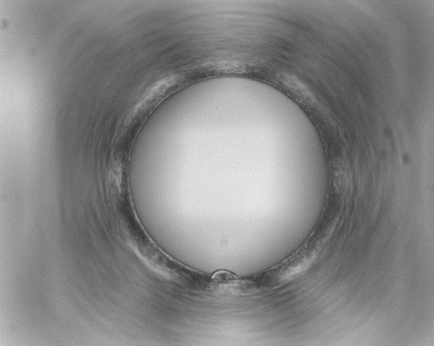 X0000059060072200511041739