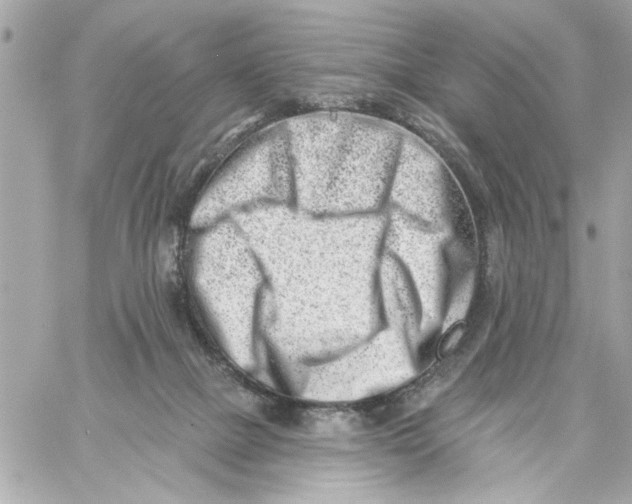 X0000059060073200511041739