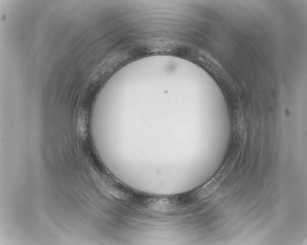 X0000059060074200511041739