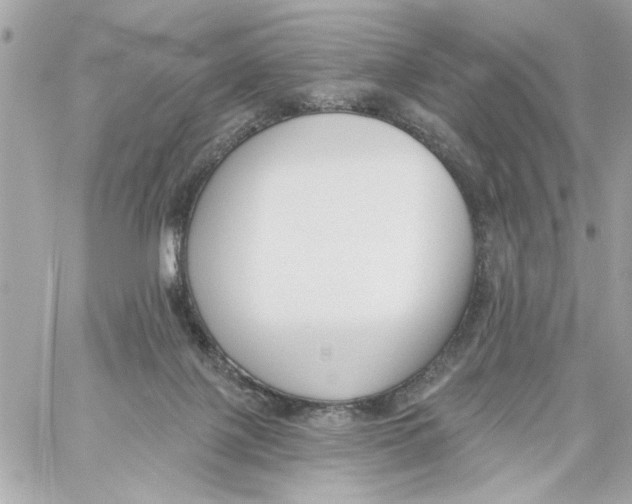 X0000059060075200511041739