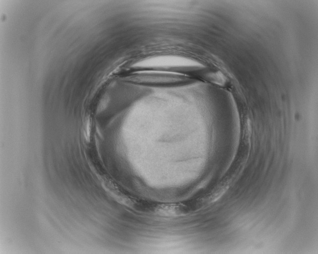 X0000059060076200511041739