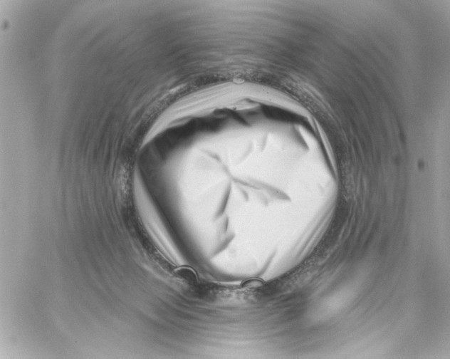 X0000059060077200511041739