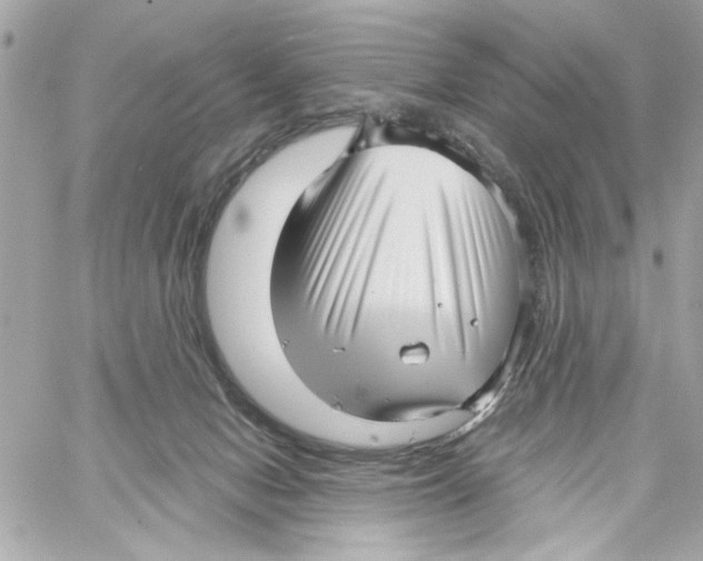 X0000059060078200511041739