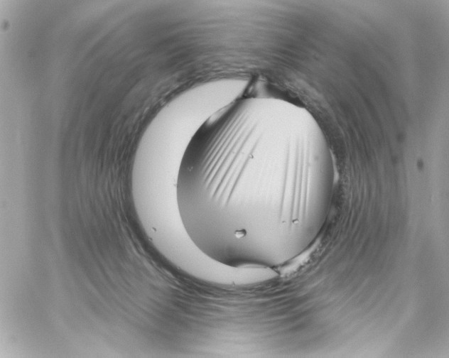 X0000059060079200511041739