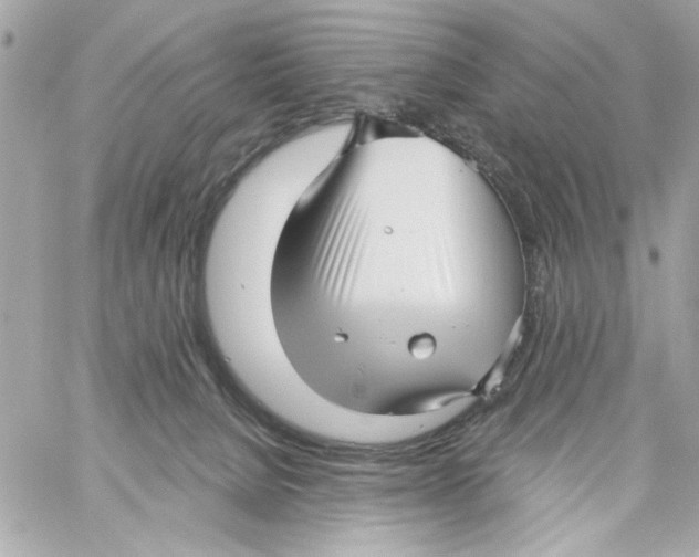 X0000059060080200511041739