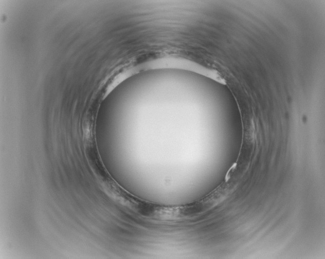 X0000059060084200511041740