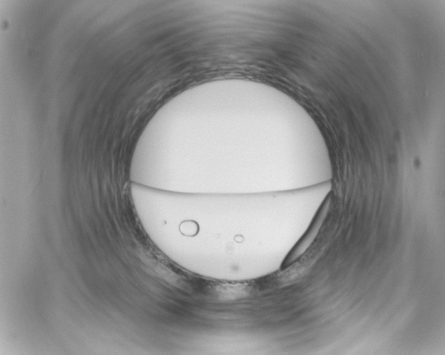 X0000059060085200511041740