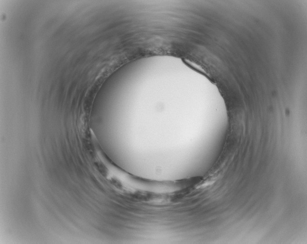 X0000059060088200511041740