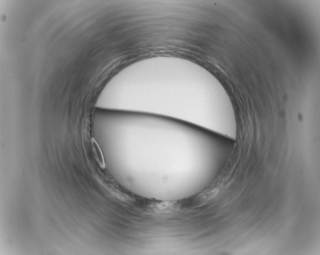 X0000059060092200511041740