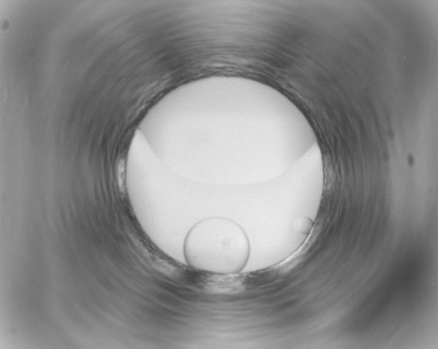 X0000059060094200511041740