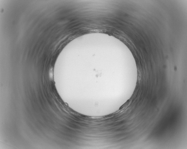 X0000059060095200511041740