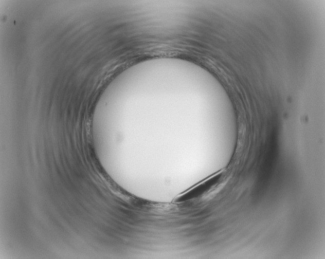 X0000059060096200511041740