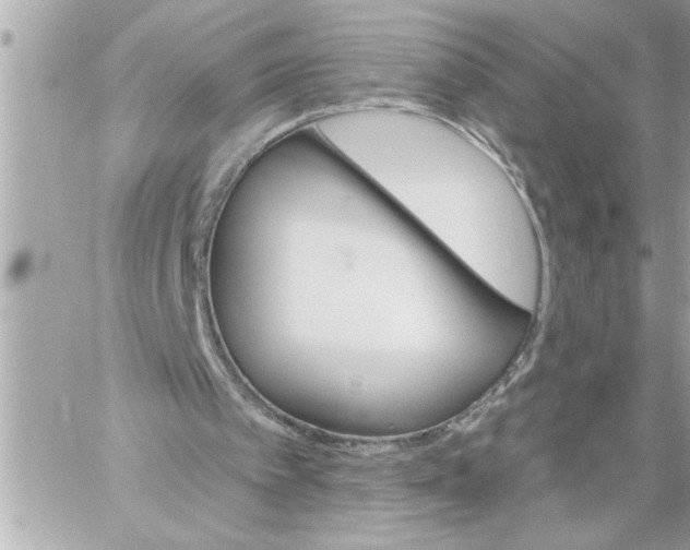 X0000059060097200511041739