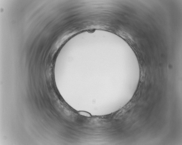 X0000059060098200511041739