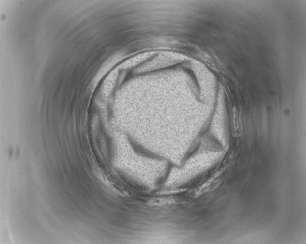 X0000059060099200511041739