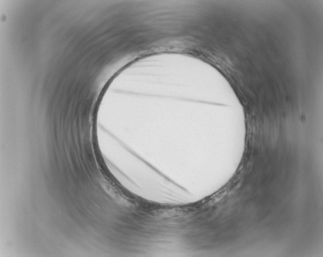 X0000059060100200511041739