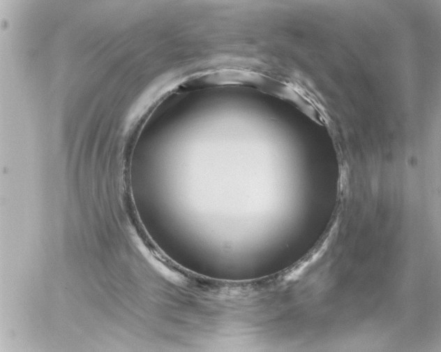 X0000059060101200511041739