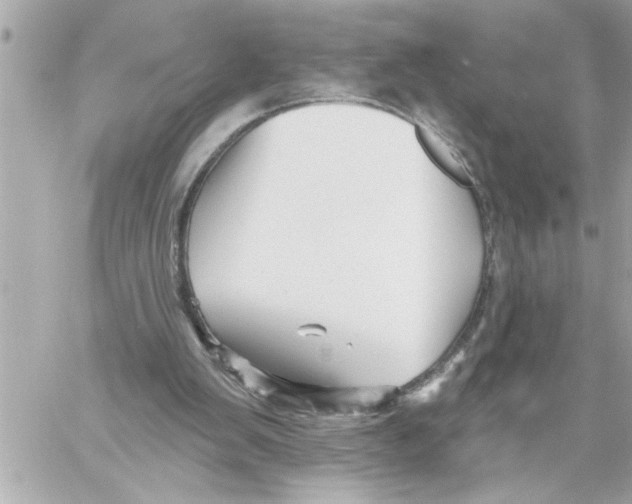 X0000059060103200511041739