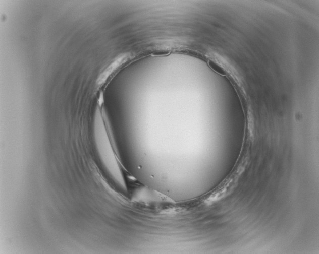 X0000059060105200511041739